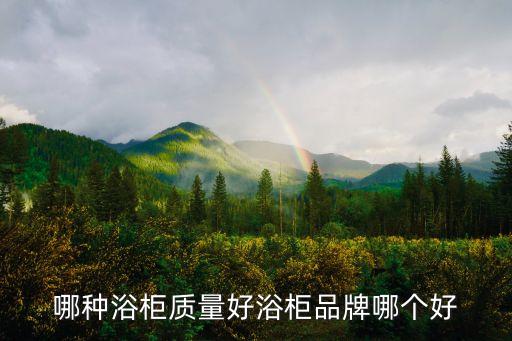 哪種浴柜質(zhì)量好浴柜品牌哪個好