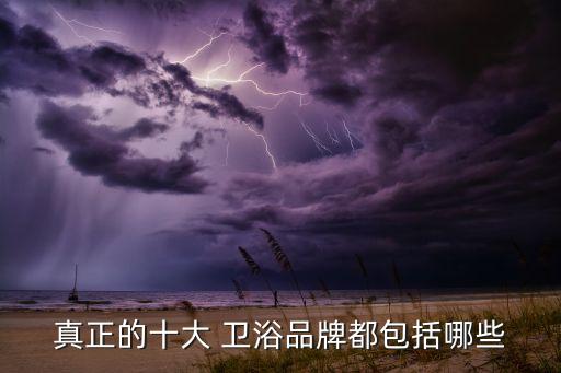 酒店一體成型衛(wèi)浴品牌