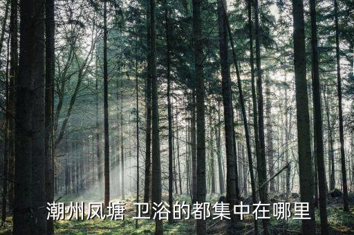  潮州鳳塘 衛(wèi)浴的都集中在哪里