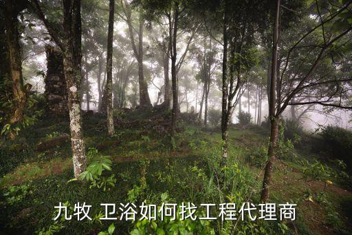 衛(wèi)浴品牌加盟廠家電話,衛(wèi)浴加盟品牌排行