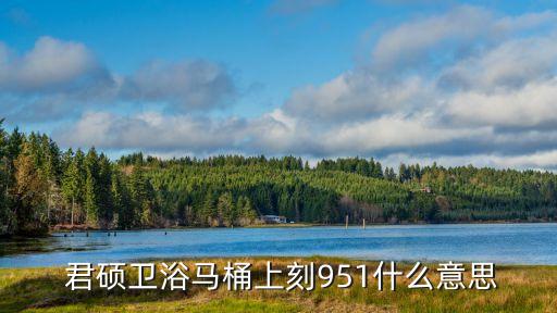  君碩衛(wèi)浴馬桶上刻951什么意思