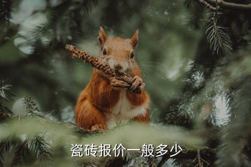  瓷磚報(bào)價(jià)一般多少