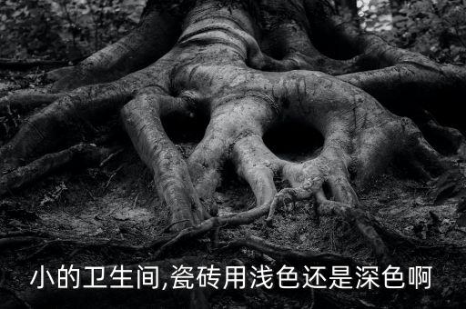 小的衛(wèi)生間,瓷磚用淺色還是深色啊