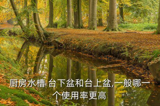 廚房水槽 臺下盆和臺上盆,一般哪一個使用率更高