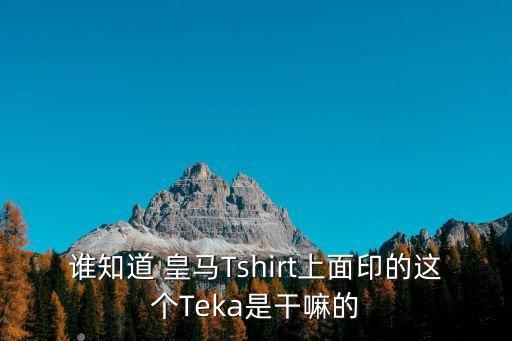 皇馬衛(wèi)浴幾線品牌排行榜
