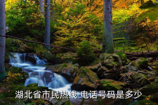 湖北省市民熱線 電話號碼是多少