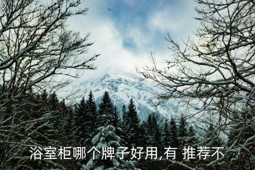 日式衛(wèi)浴柜定制品牌推薦