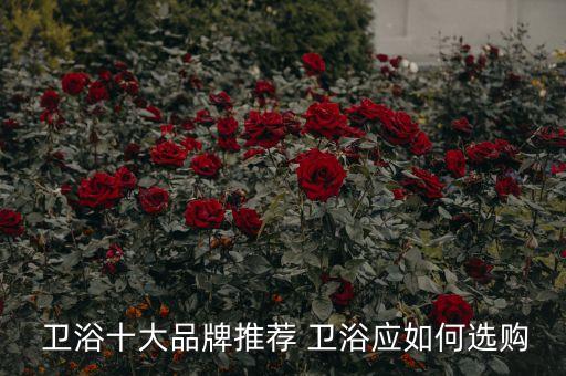  衛(wèi)浴十大品牌推薦 衛(wèi)浴應(yīng)如何選購