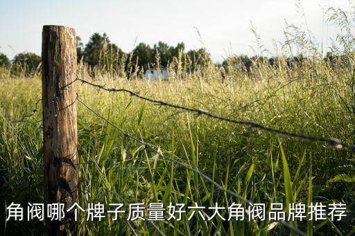 角閥哪個牌子質(zhì)量好六大角閥品牌推薦