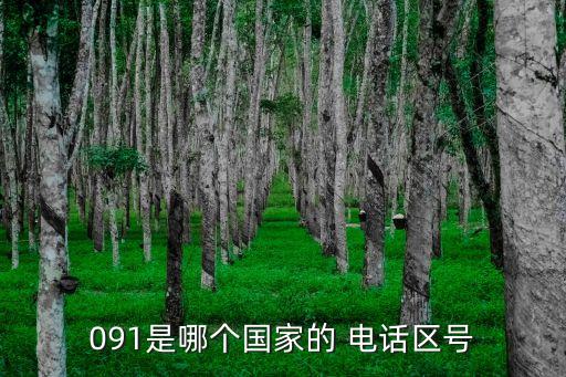 091是哪個(gè)國家的 電話區(qū)號(hào)