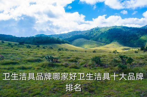 衛(wèi)生潔具品牌哪家好衛(wèi)生潔具十大品牌排名