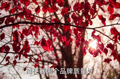 蹲便器哪個品牌質(zhì)量好