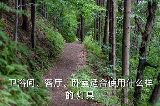  衛(wèi)浴間、客廳、臥室適合使用什么樣的 燈具