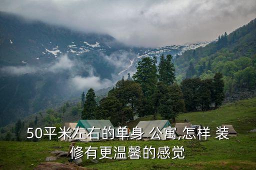50平米左右的單身 公寓,怎樣 裝修有更溫馨的感覺