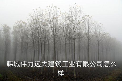  韓城偉力遠(yuǎn)大建筑工業(yè)有限公司怎么樣