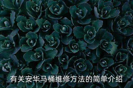 有關(guān)安華馬桶維修方法的簡(jiǎn)單介紹