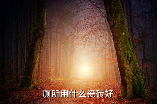 廁所用什么瓷磚好