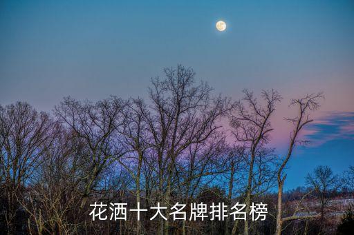 卡希頓衛(wèi)浴花灑是不是品牌