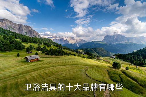 浪鯨智能衛(wèi)浴是一線品牌嗎