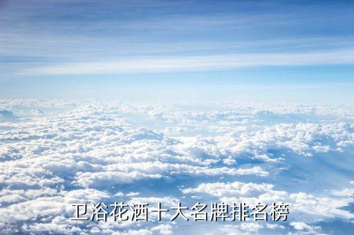  衛(wèi)浴花灑十大名牌排名榜