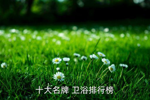 十大名牌 衛(wèi)浴排行榜