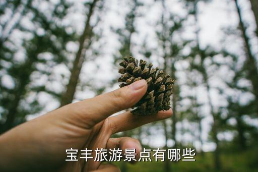 十堰竹山寶豐衛(wèi)浴電話,竹山寶豐衛(wèi)浴產(chǎn)業(yè)園企業(yè)名稱