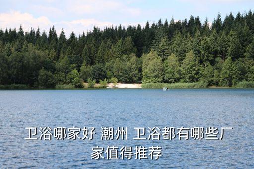  衛(wèi)浴哪家好 潮州 衛(wèi)浴都有哪些廠家值得推薦