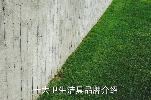 衛(wèi)浴小品牌介紹詞語,小品牌衛(wèi)浴好的有哪些
