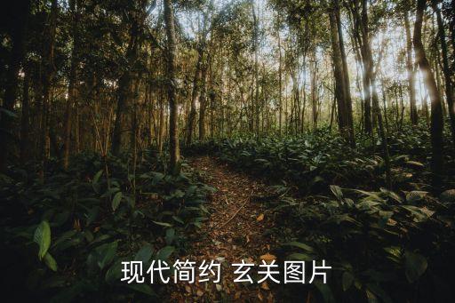 現(xiàn)代簡(jiǎn)約 玄關(guān)圖片