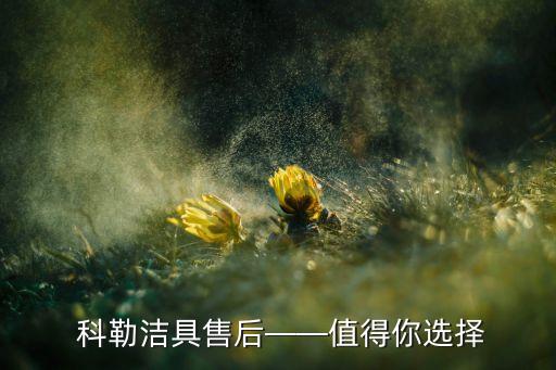  科勒潔具售后——值得你選擇