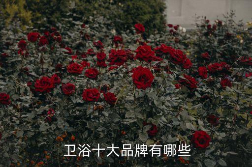  衛(wèi)浴十大品牌有哪些