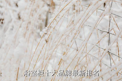 浴室柜十大品牌最新排名