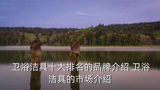  衛(wèi)浴潔具十大排名的品牌介紹 衛(wèi)浴潔具的市場介紹
