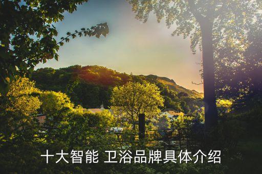 十大智能 衛(wèi)浴品牌具體介紹