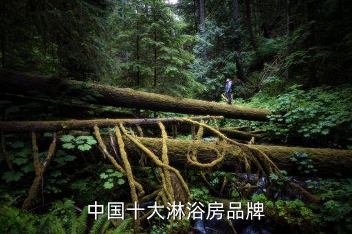 中國十大淋浴房品牌
