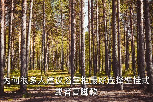 為何很多人建議浴室柜最好選擇壁掛式或者高腳款