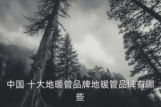 中國(guó) 十大地暖管品牌地暖管品牌有哪些