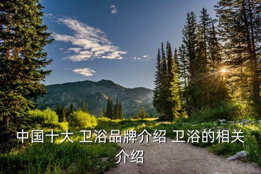 中國進(jìn)口衛(wèi)浴有哪些品牌,中國衛(wèi)浴前十名有哪些