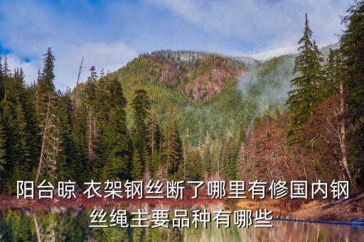 陽臺晾 衣架鋼絲斷了哪里有修國內鋼絲繩主要品種有哪些