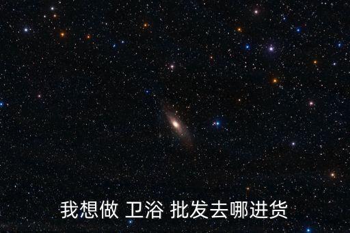 我想做 衛(wèi)浴 批發(fā)去哪進貨