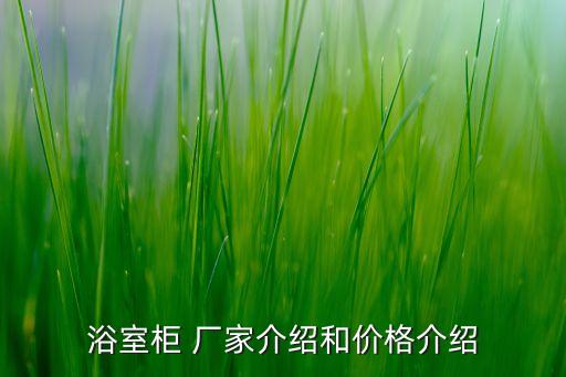浴室柜 廠家介紹和價(jià)格介紹
