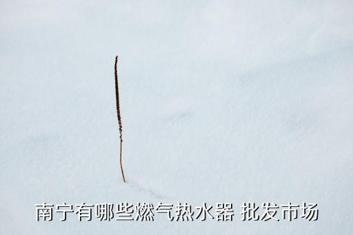 張掖衛(wèi)浴廚電批發(fā)市場(chǎng)地址,杞縣衛(wèi)浴廚電批發(fā)市場(chǎng)
