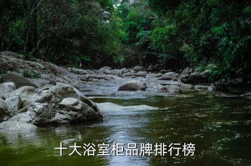 十大浴室柜品牌排行榜