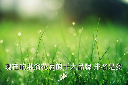 現(xiàn)在的淋浴花灑的十大品牌 排名是多少