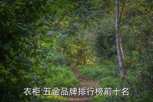 衣柜 五金品牌排行榜前十名
