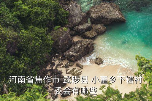 河南省焦作市 武陟縣 小董鄉(xiāng)下轄村委會有哪些