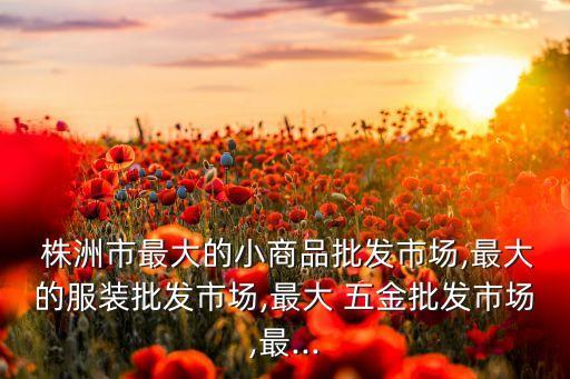 株洲衛(wèi)浴五金店地址電話