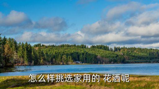 怎么樣挑選家用的 花灑呢