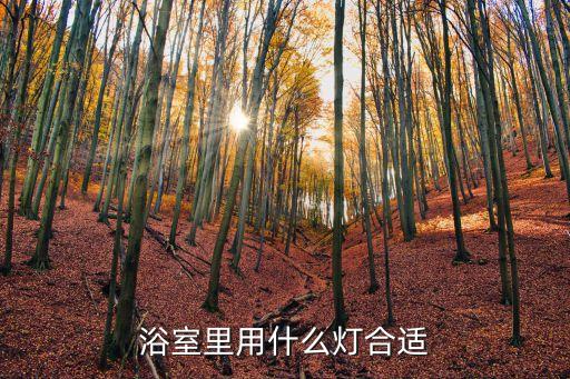 莆田燈具廚電衛(wèi)浴店鋪圖片