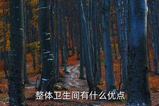 整體衛(wèi)浴底座機(jī)器圖片